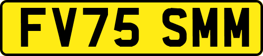 FV75SMM
