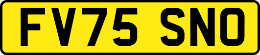 FV75SNO