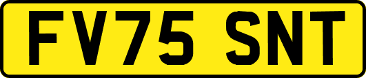 FV75SNT