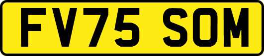 FV75SOM