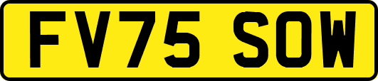FV75SOW