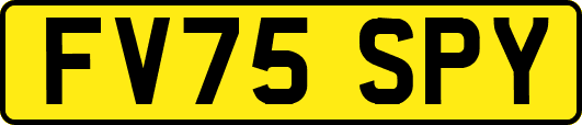 FV75SPY
