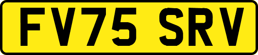 FV75SRV