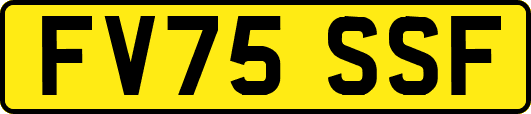 FV75SSF