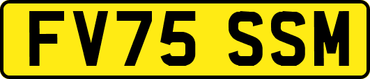 FV75SSM