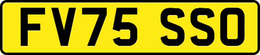 FV75SSO