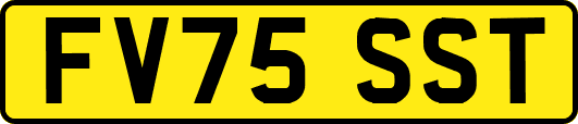 FV75SST