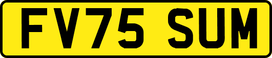 FV75SUM