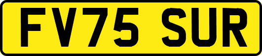 FV75SUR