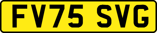 FV75SVG