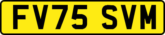 FV75SVM