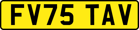 FV75TAV