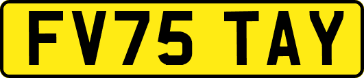 FV75TAY
