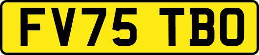 FV75TBO