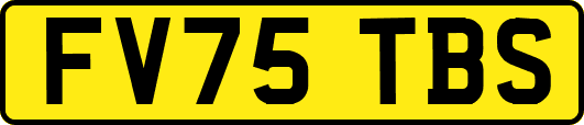 FV75TBS