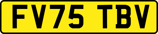 FV75TBV