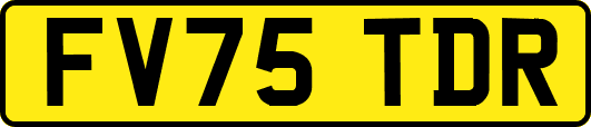FV75TDR