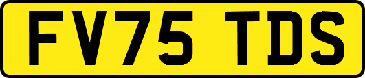FV75TDS