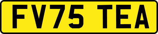 FV75TEA