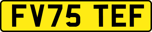 FV75TEF