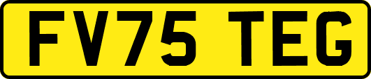 FV75TEG