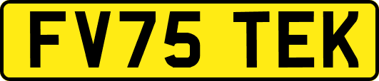 FV75TEK
