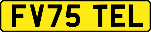 FV75TEL