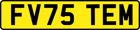 FV75TEM