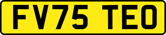 FV75TEO