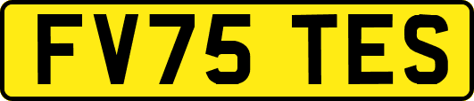 FV75TES