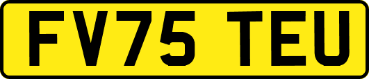 FV75TEU