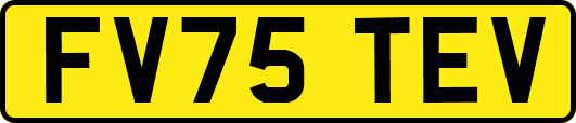 FV75TEV