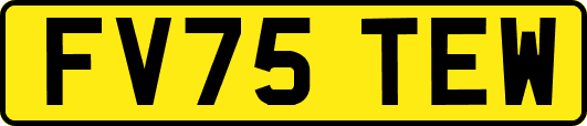 FV75TEW