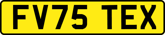 FV75TEX