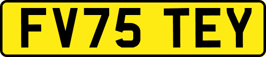 FV75TEY
