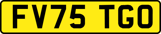 FV75TGO