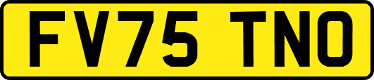 FV75TNO