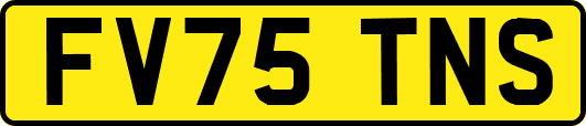 FV75TNS