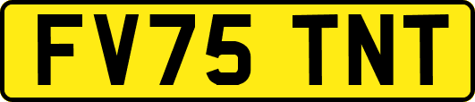FV75TNT