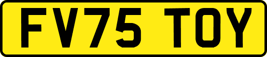 FV75TOY