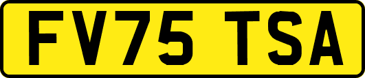 FV75TSA