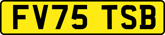 FV75TSB