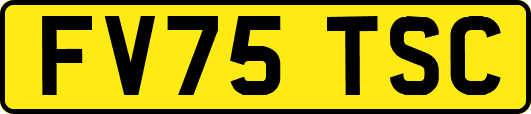 FV75TSC