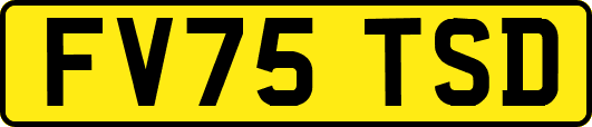 FV75TSD