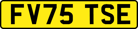 FV75TSE