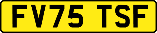 FV75TSF