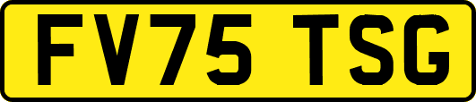 FV75TSG