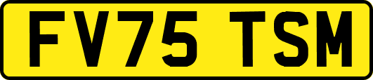 FV75TSM
