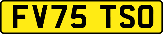 FV75TSO