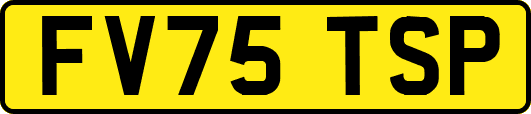 FV75TSP
